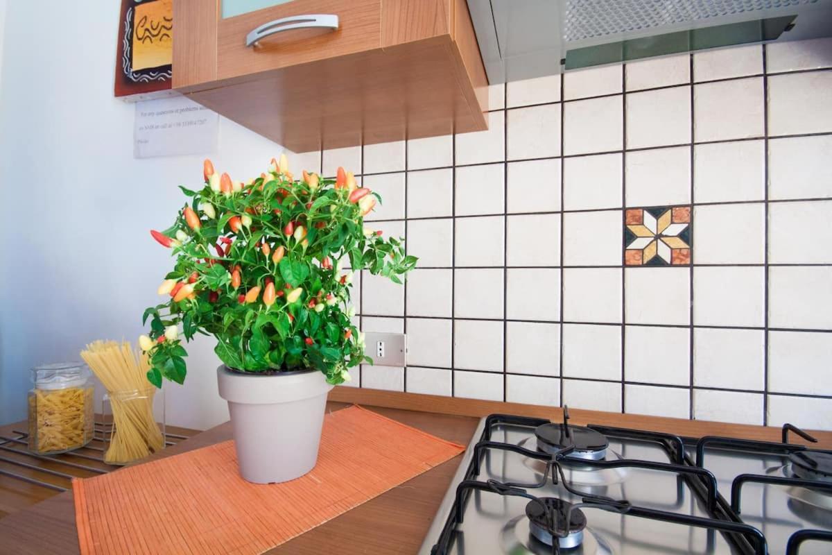 Casa Dante Apartment Кастеламаре дел Голфо Екстериор снимка