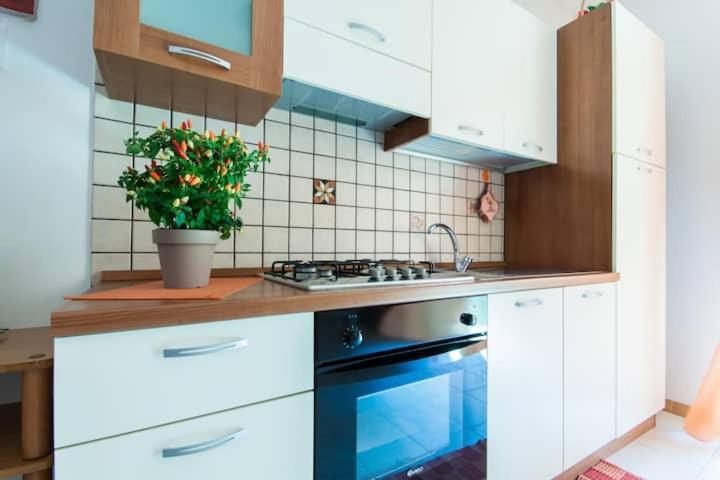 Casa Dante Apartment Кастеламаре дел Голфо Екстериор снимка